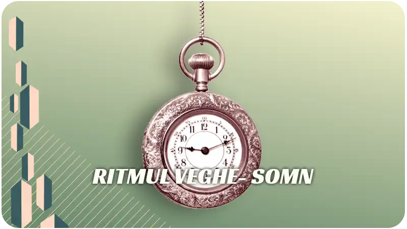 Ritmul veghe- somn